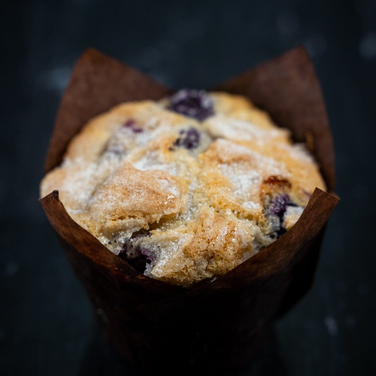 Blueberry Muffin